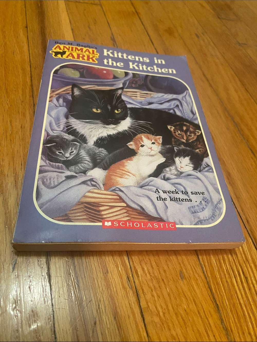 Scholastic Kittens in the Kitchen Animal Ark - Ben M Baglio